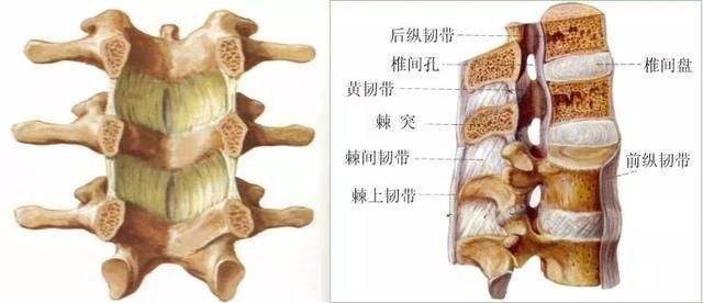 腰三横突综合征疼痛缓解方法,第三腰突综合症腰疼怎么治疗