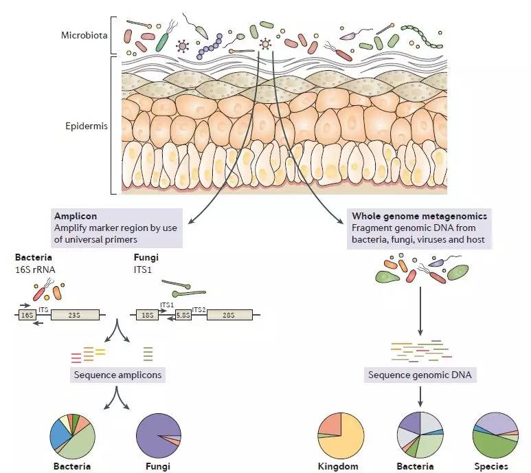 长了青春痘该怎么治,长了青春痘怎么办