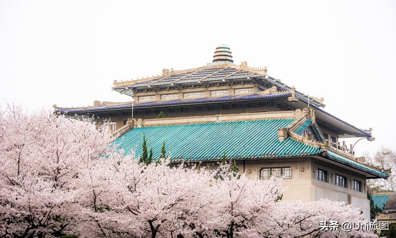 十大热门网红打卡点,2022年网红打卡地排行榜