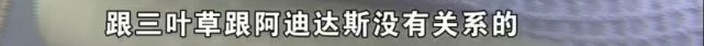 小伙买两双鞋子,小伙买了两双鞋