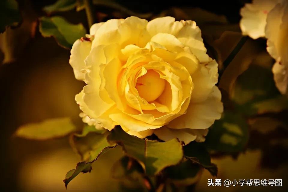 写关于味道的作文,独特的味道优秀作文叙事