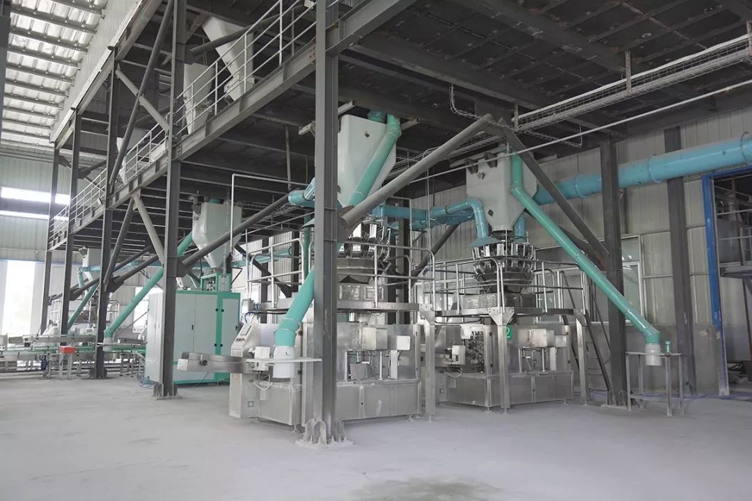 cips2019中国宠物展,cips宠物展直播