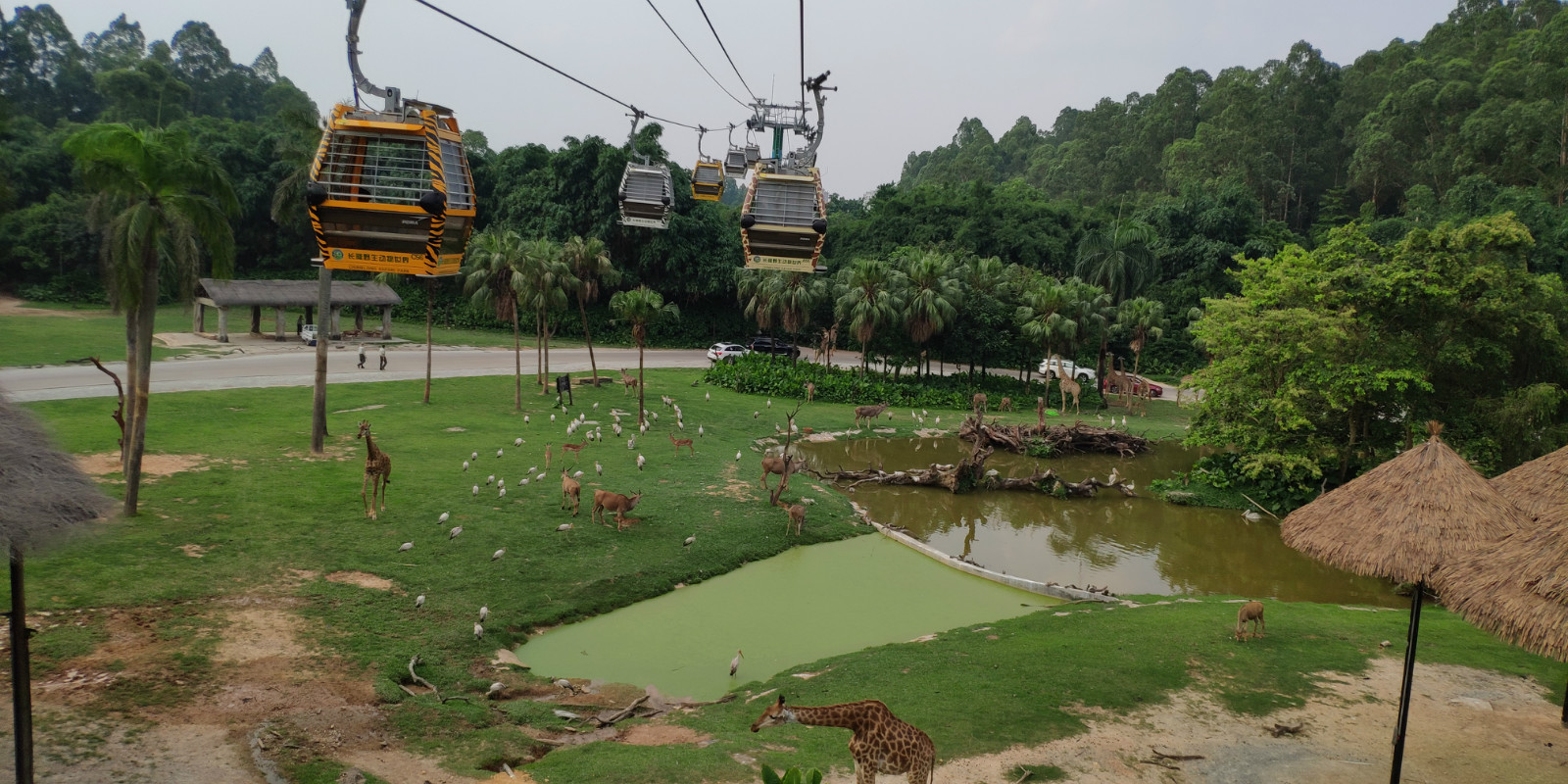 广州长隆哪个园区适合带孩子玩,广州长隆有哪些好地方