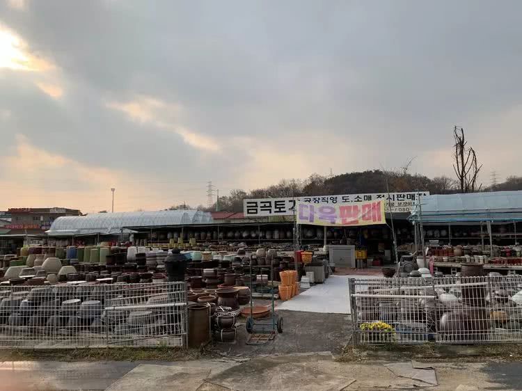 探访韩国肉锥大棚,记一次走访纪录片