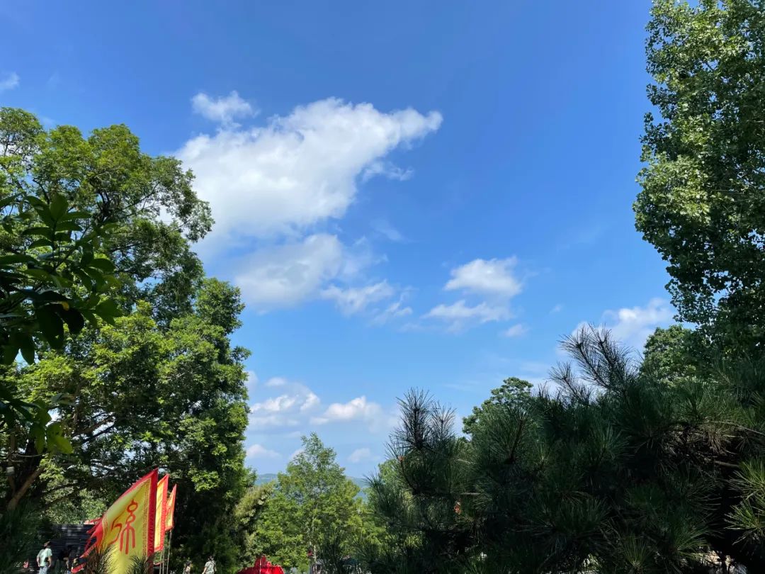 “神兽”归笼，九月临沂天上王城许你一个醉美秋天！