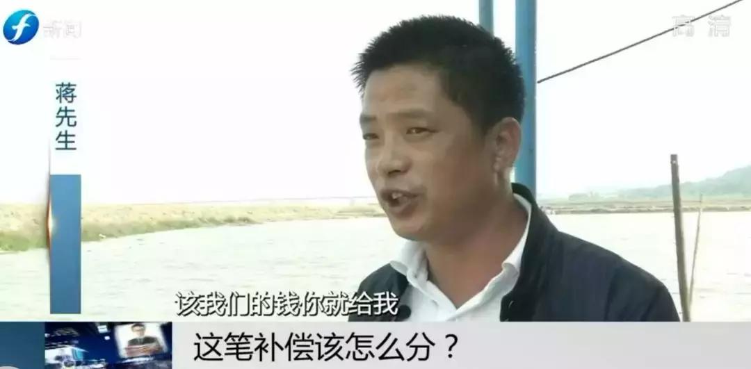 闹心|眼看快收成了，却遇上了麻烦事！这笔清退补偿究竟该怎么分？