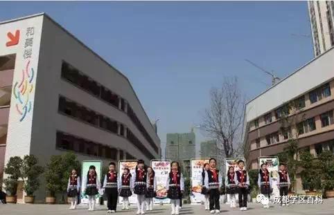 天府新区三大教育集团,天府新区五大教育集团