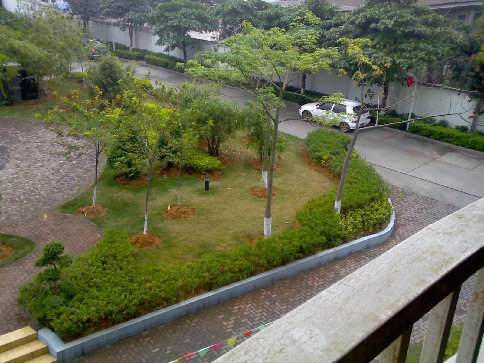 曾经特别火的拍照手机,那些年的拍照手机