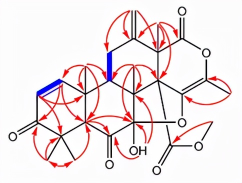 小分子化合物结构分析,小分子化合物分子建模的步骤