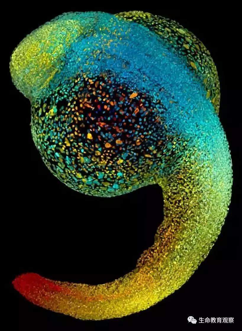 看完后，整个人都有点不对劲了（传播生物知识）