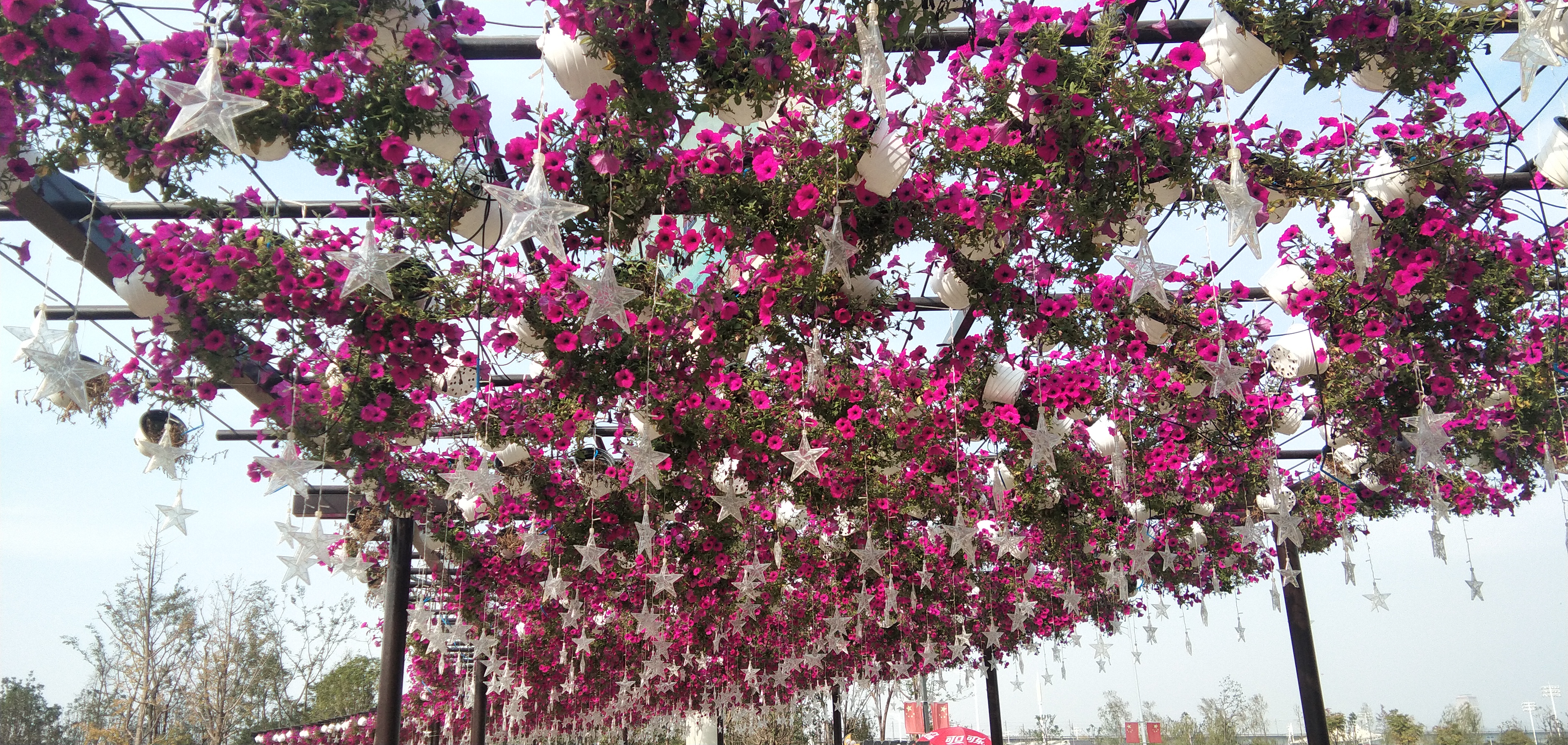 湖南长沙月亮岛公园,长沙月亮岛花海公园