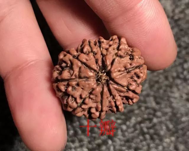 金刚菩提尼泊尔印尼区别,尼泊尔小金刚菩提子怎样快速变红