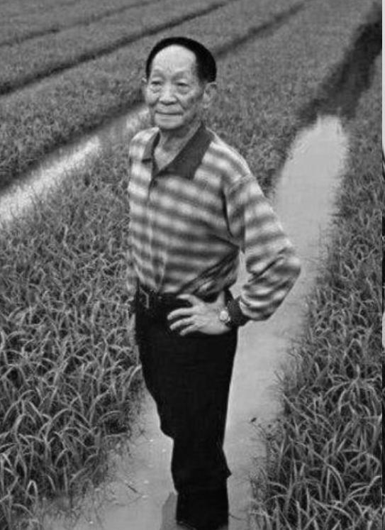 送别袁隆平群众高呼一路走好,袁隆平院士群众送别