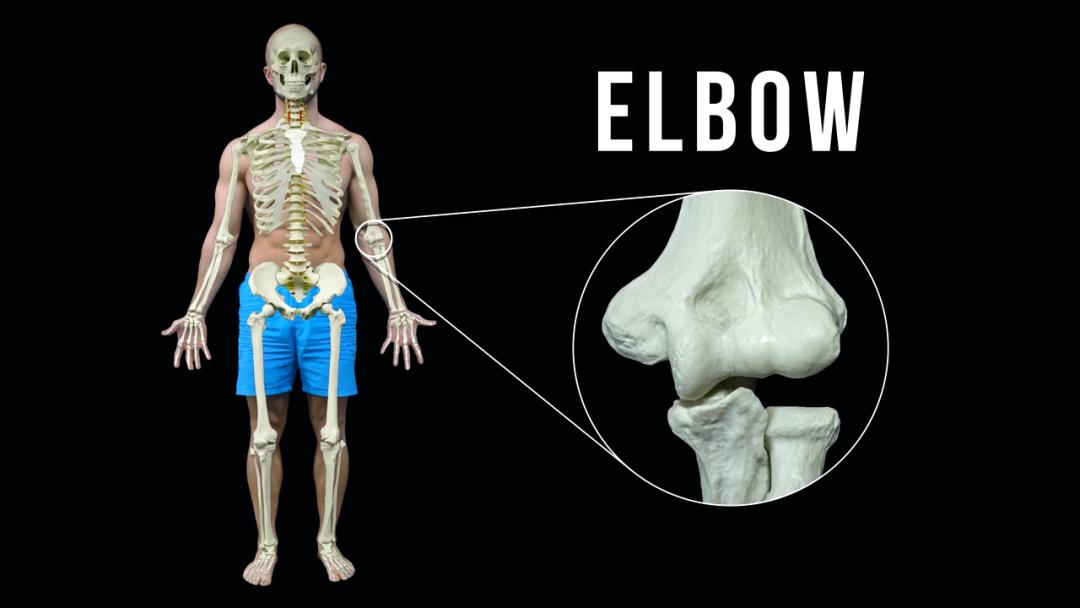 远离伤病健身,远离伤病恢复训练