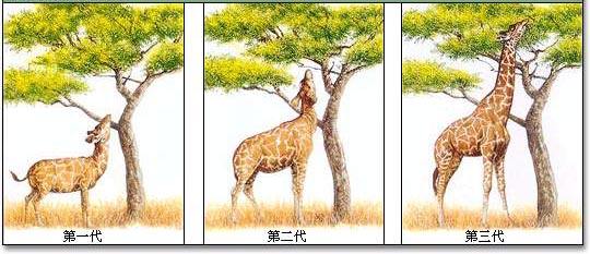 了解情绪的源头，你才能真正懂人性，才能真正调动聪颖