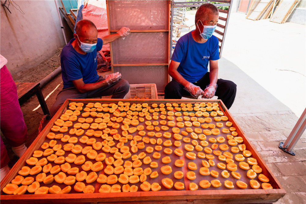 直播“云游”河北古县！连办29年红杏商务节点将巨鹿“四大美景”