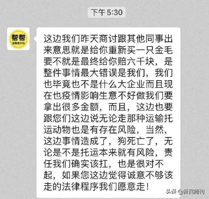 空运金毛死了,托运被热死的金毛
