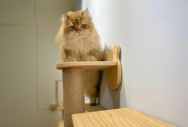 平价打工人好物,普通打工人平价好物