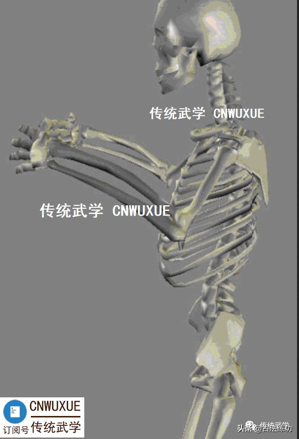 以武入道站桩,站桩如何入道