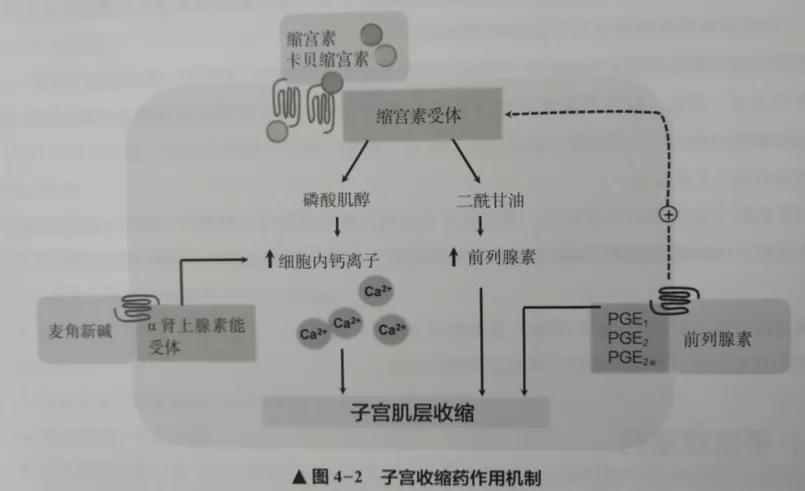 产科用什么止血药,妇产科最好的止血药