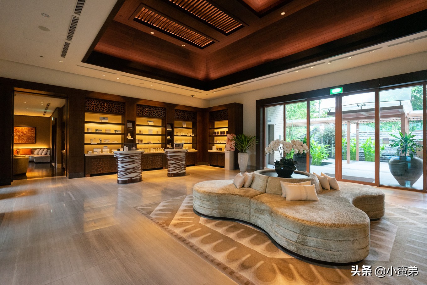 5年之许，小白逆袭重返新加坡