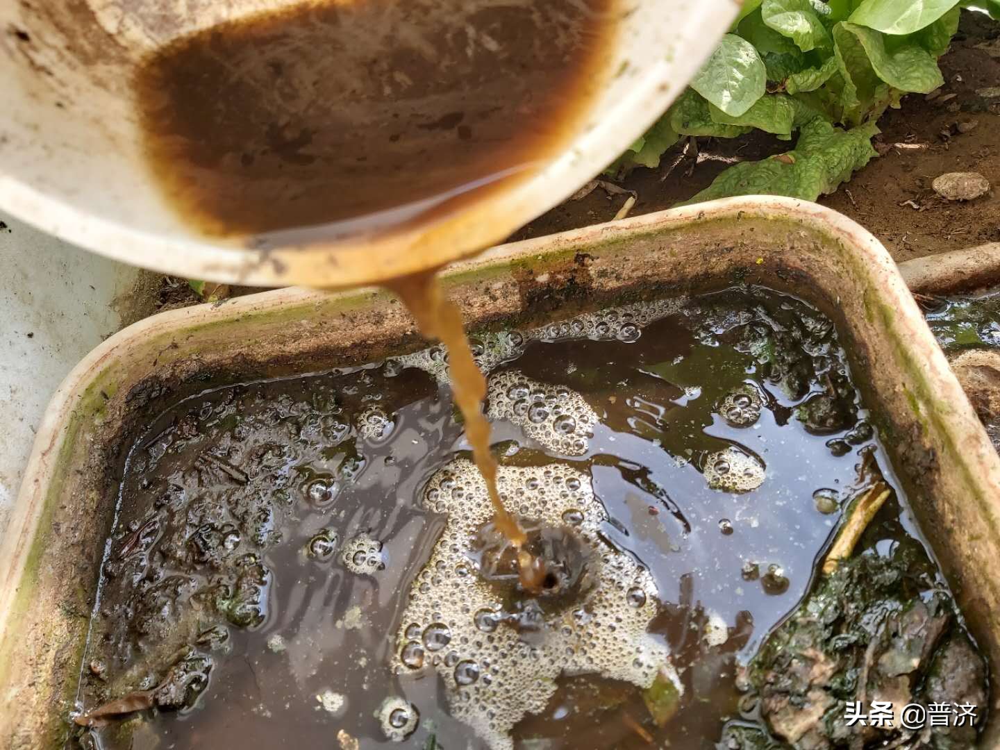 有机蔬菜市场痛点,有机蔬菜的问题