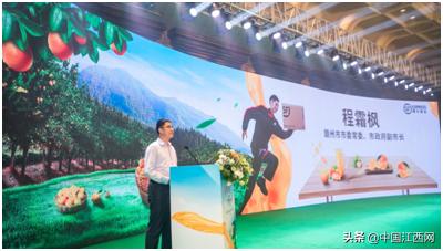 顺丰赣南脐橙物流发布会,江西赣橙顺丰快递