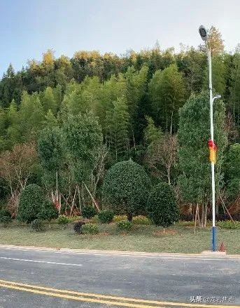 上杭举办一场大考，看看你的家乡交出什么样的答卷？（上篇）