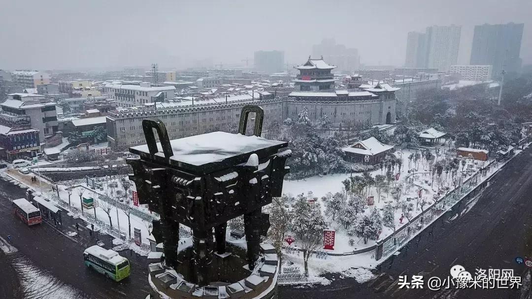 向洛阳人发出邀请国潮盛宴来袭,洛阳发布通知