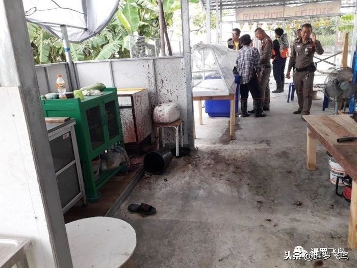 泰国食人宴真实事件是合法吗,泰国警察吃海鲜吃出疑似龙珠