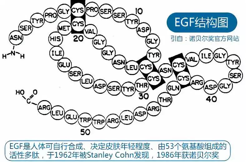 网红用的“*干粉冻**”真有那么神奇吗？