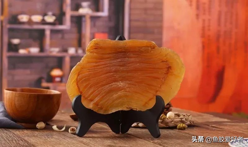 花胶最全面知识,鱼胶的100个基础知识