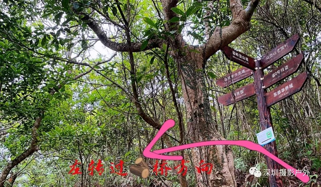 梅沙尖︱越梅沙尖→赏马峦瀑布