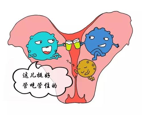 子宫平滑肌肉瘤结局,什么是子宫内膜癌肉瘤