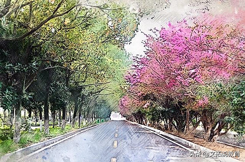 别人家的孩子！湖北“双胞胎学霸”高考都是664分，全靠自己努力