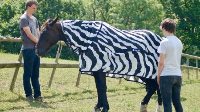 对于蚊子科学家打算如何消灭,脑洞大开利用各种手段消灭蚊子