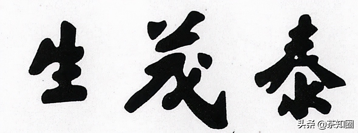 收藏茶都有哪些品牌,收藏茶叶推荐中茶