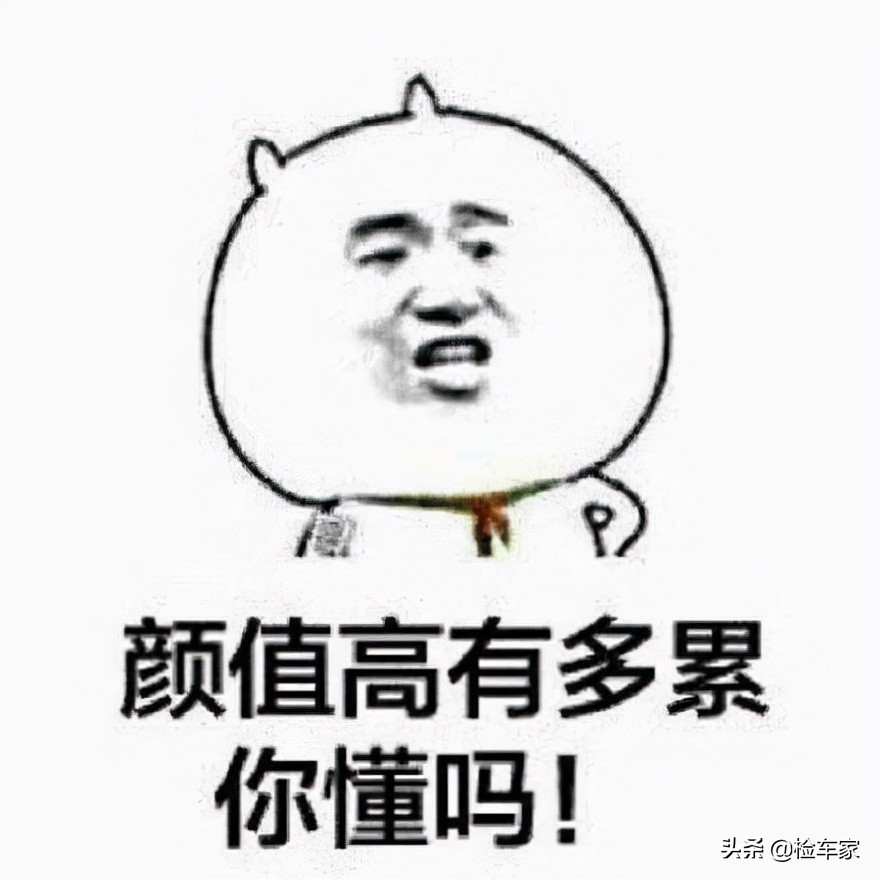 大排量汽车野马,15款福特野马2.3t驾驶感受