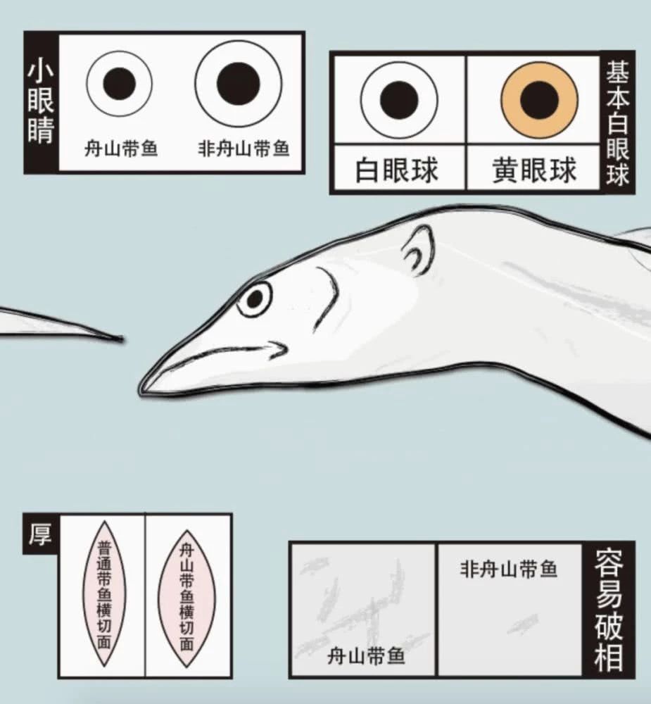 带鱼30元一斤,带鱼看着新鲜吃着不好吃