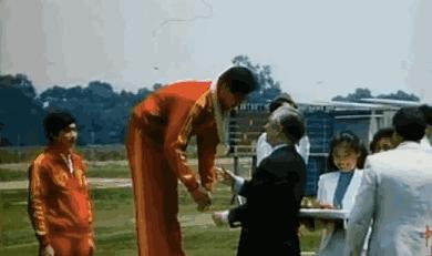 楸块奔娓告垙鍚翠含,鍚翠含楸块奔娓告垙鎭舵悶