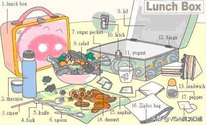 单词有趣记忆地图,100个日常单词速记