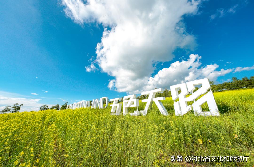 清凉避暑好去处网红打卡圣地,清凉避暑好去处抖音