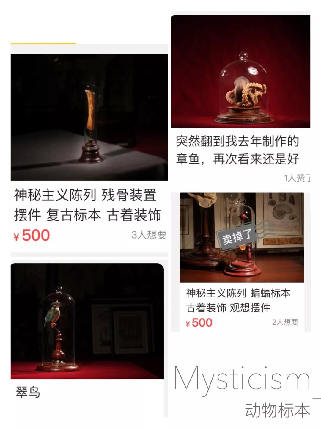 闲鱼互联网时代,闲鱼最新平台