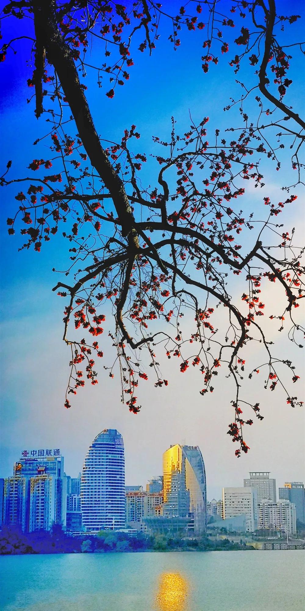 惠州亮灯为武汉加油,惠州武汉加油