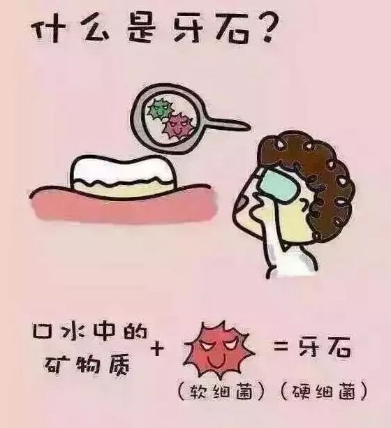 给自己的牙齿洗个澡,给牙齿洗洗澡