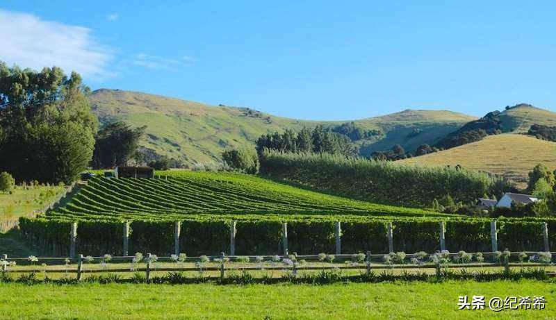 不能错过的十大好货,不能错过的亲民价格