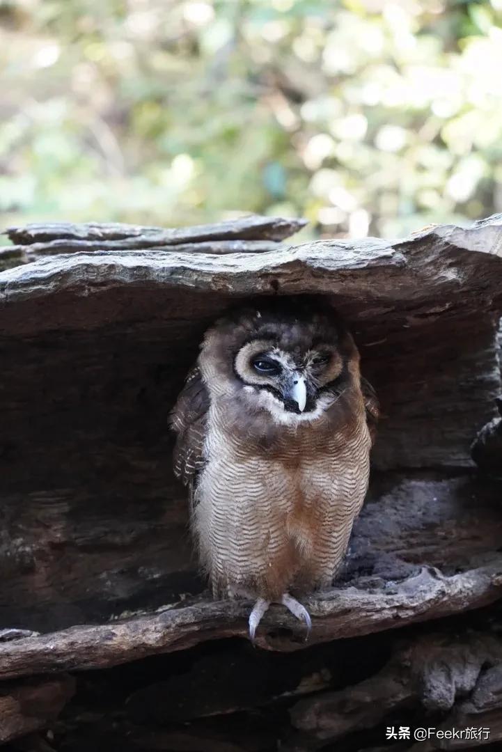 被刘昊然种草的云南小城，全网0攻略，我们花不到2k就逛吃6天