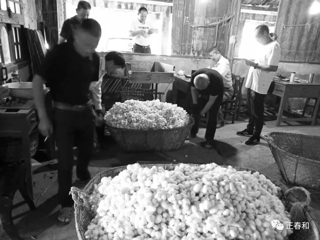 一段传承故事，一段美丽人生|正春和的再传承与发扬