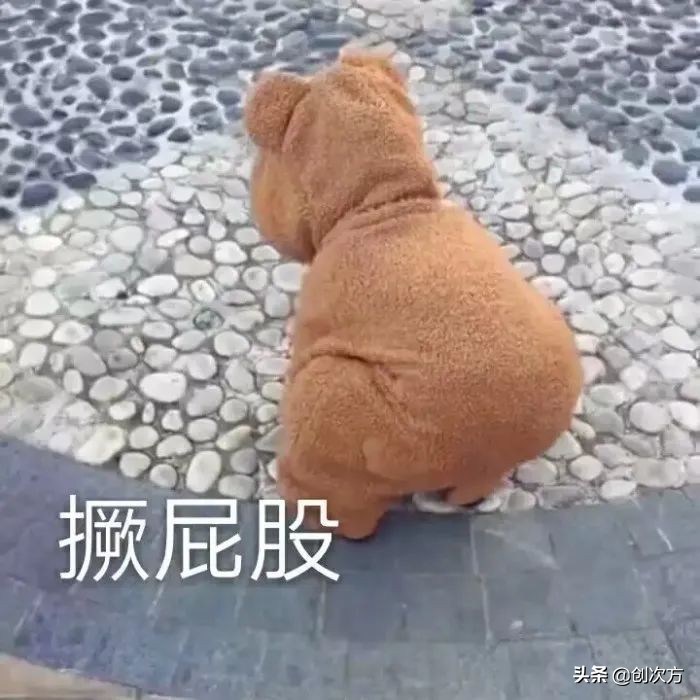 喷水代替擦拭，屁屁清爽