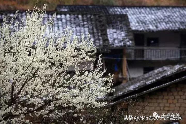 于都的故事传说,于都民间传说真实故事